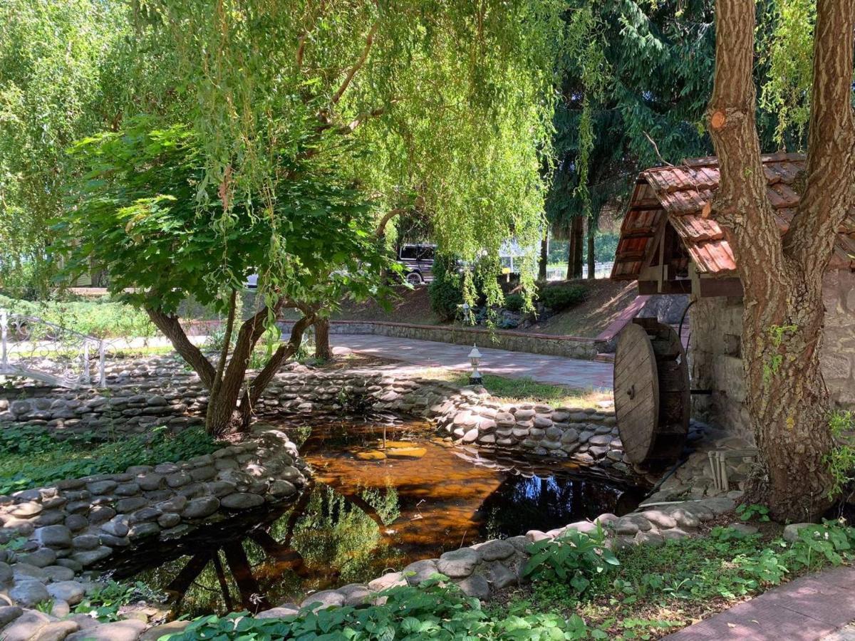 Hotel Complex Lenivaya Vera Novaki Bagian luar foto