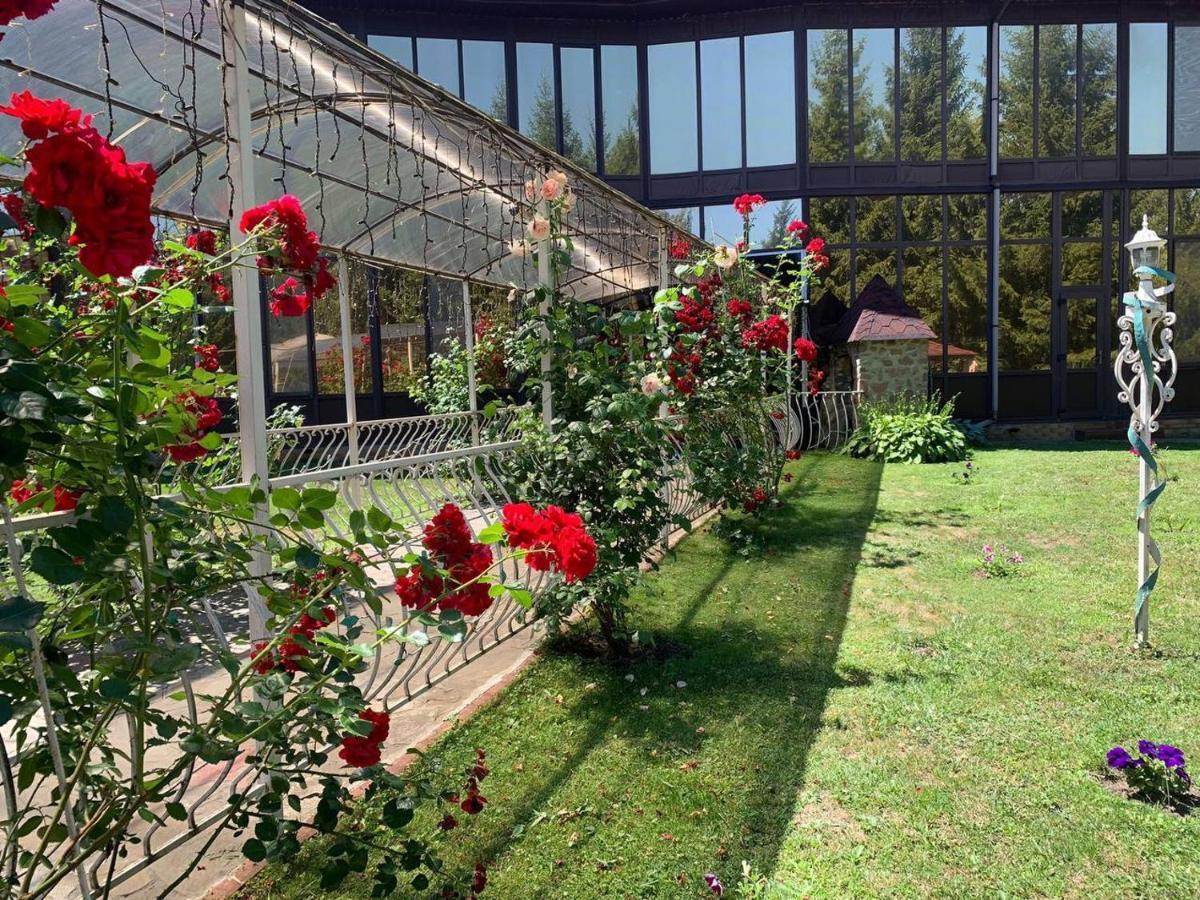 Hotel Complex Lenivaya Vera Novaki Bagian luar foto